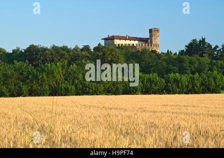Sunset light at medieval Villalta castle with field of barley, Fagagna, Friuli, Italy Stock Photo