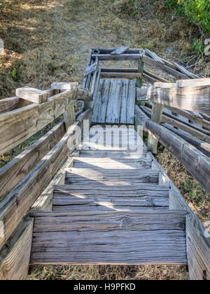 Old wooden stairs leading down from lookout point in Moremi National Park, Botswana, Africa Stock Photo