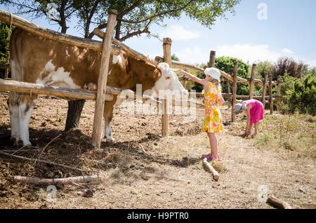 little kids feeding cow in the farm Stock Photo