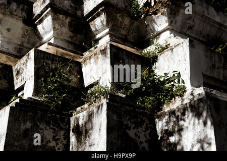 Ancient pagoda ruin detail in high contrast light and shadow. plants and lichens grow on ancient buddhist temple structure. Stock Photo