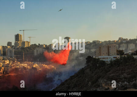 Haifa, Israel. 24th November, 2016. A terrible fire, Haifa, Israel. 24th Nov, 2016. Credit:  Natalia Zaika/Alamy Live News Stock Photo