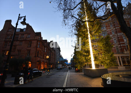 Mayfair, London, UK. 25th November 2016. Artist Antony Gormley, illuminated Christmas Tree Connaught Hotel in Mayfair Stock Photo