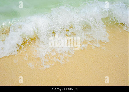 Foamy wave is incident on the yellow sand. The beach in a tropical Paradise, recreation, relaxation. Sea background. Stock Photo