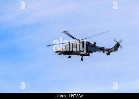 Royal Navy Augusta Westland Wildcat HMA.2  helicopter, one of the Black Cats display team performing at the southport airshow Stock Photo