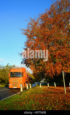 Orange coloured lorry truck driver in chassis cab with tanker body for ...