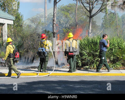 evergladesnps 9099459605 Prescribed fire near park structures (7), NPSphoto Stock Photo