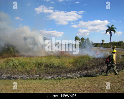 evergladesnps 9099462695 Prescribed fire near park structures (11), NPSphoto Stock Photo