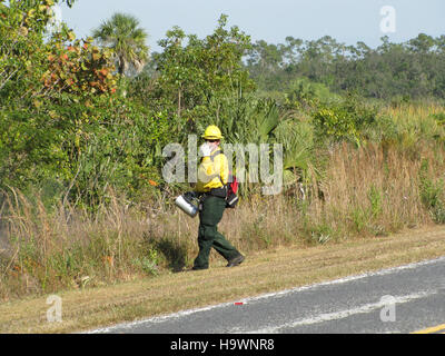 evergladesnps 9101691364 Prescribed fire near park structures (14), NPSphoto Stock Photo