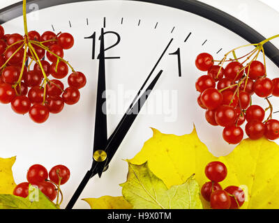 1 o'clock. Clock face with yellow leaves and viburnum. Stock Photo