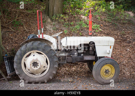 Abandoned white tractor in the forest under trees Stock Photo