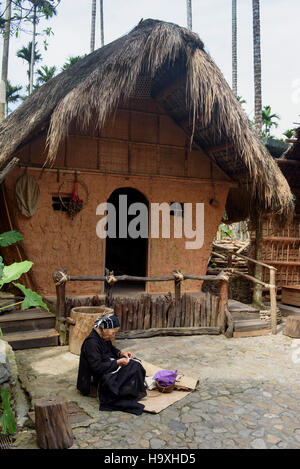 Village Binlang of Li and Miao minorities near Sanya, Hainan island, China Stock Photo