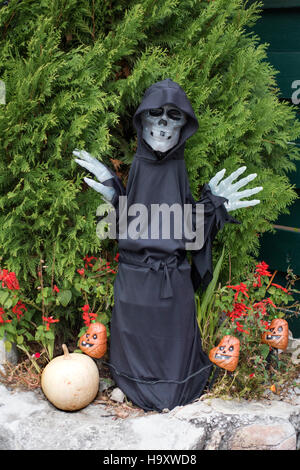Scary Halloween skeleton dressed as the Grim Reaper surrounded by evil jack-o'-lanterns. Battle Lake Minnesota MN USA Stock Photo