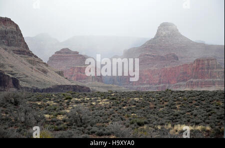 Winter fog at the Grand Canyon from Tonto Platform provides a dramatic inversion effect, showcasing the park's distinctive weather patterns and stunning views over Indian Garden Stock Photo