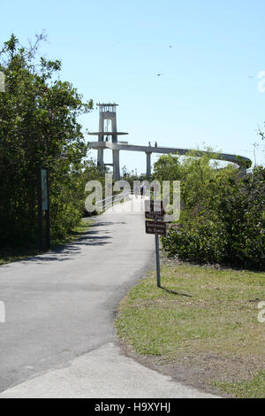 Photo inspiration: Gallery Detail: The Shark Valley Tram And Bicycle Road In Everglades National