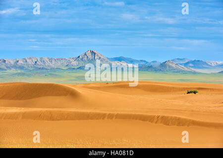 Mongolia, Zavkhan province, deserted landscape of sand dunes in the steppe Stock Photo