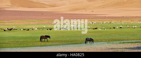 Mongolia, Zavkhan province, Khar Nuur lake, sheep and horse herd Stock Photo