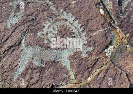 Petroglyph, Altai Tavan Bogd National Park, Mongolia Stock Photo - Alamy