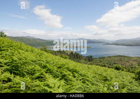 The rugged coastline of the Ardnamurchan peninsula, Scotland, UK overlooking the sound of Mull Stock Photo