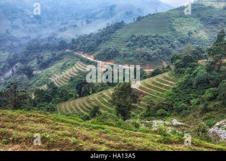 Rice terraces, Lao Chai, Sapa, Vietnam, Asia Stock Photo