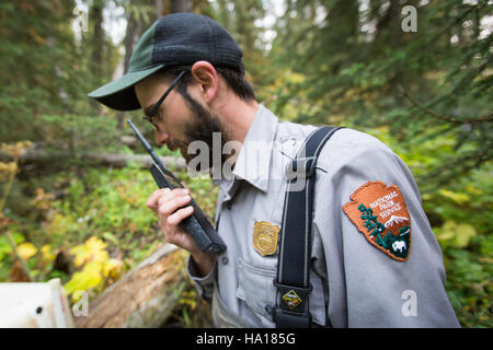 yellowstonenps 26590843704 Alex Poole setting up a Rotenone drip station in a tributary of Soda Butte Creek Stock Photo