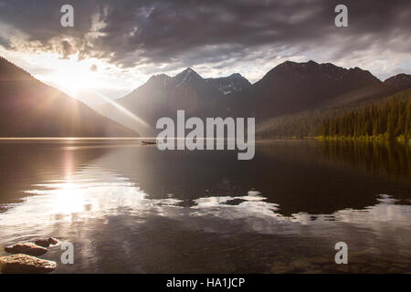 glaciernps 27987610965 Quartz Lake Fish Project 30 Stock Photo