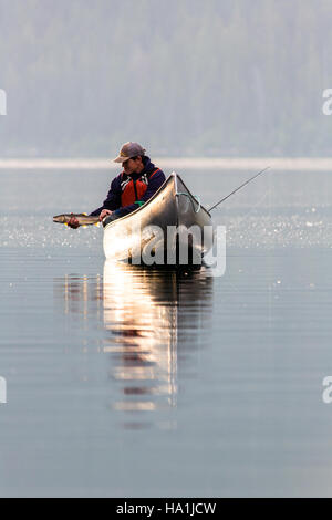 glaciernps 27987601935 Quartz Lake Fish Project 34 Stock Photo