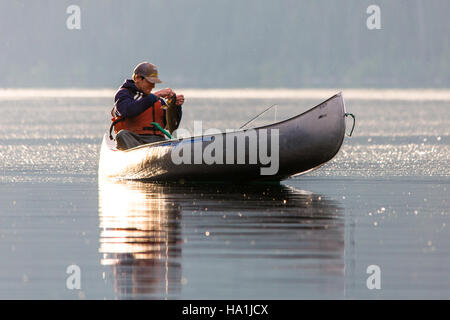 glaciernps 27987617335 Quartz Lake Fish Project 33 Stock Photo