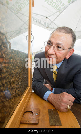 This image highlights USDA’s Pollinator Week, focusing on the critical ...