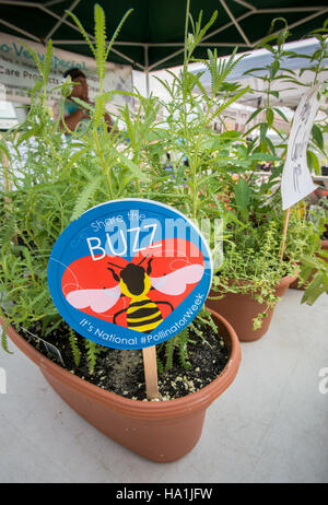 The USDA celebrates National Pollinator Week with a festival in the ...