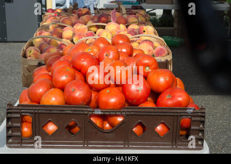 The USDA's Vegucation program at the People’s Garden Farmers Market in Washington D.C. offered a live demonstration on preparing Spanish Tomato Salad using fresh ingredients like tomatoes, parsley, and garlic. The event aimed to educate the public on healthy eating and vegetable-based meals. Stock Photo
