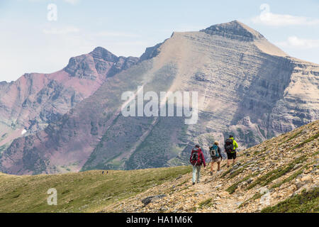 glaciernps 29350894631 Hikers at Pitamakan Pass (2) Stock Photo