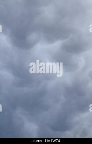 Mammatus or mammatocumulus clouds before a storm. Stock Photo