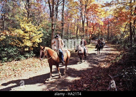 snpphotos 13083895373 Trail Ride-Skyland on Old Rag Fire Road Stock Photo