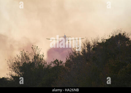 The Whipping Creek wildfire in North Carolina was an intense wildfire ...