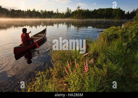 usdagov 14547398907 A man canoeing on Little Bear Brook Pond Stock Photo