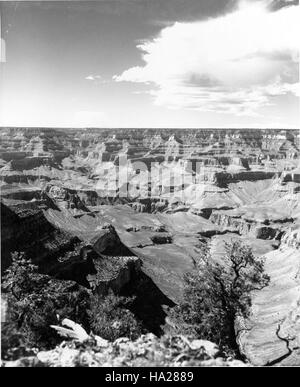 grand canyon nps 7789067564 02149  Grand Canyon Shoshone Point (historic) Stock Photo