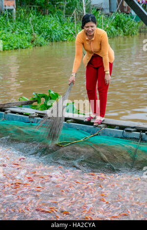 Tilapia Farm, Aquaculture, Mekong River, Vietnam, Asia Stock Photo