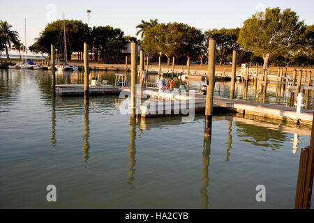 evergladesnps 9240403785 Flamingo - marina 1, NPSPhoto, R. Cammauf Stock Photo