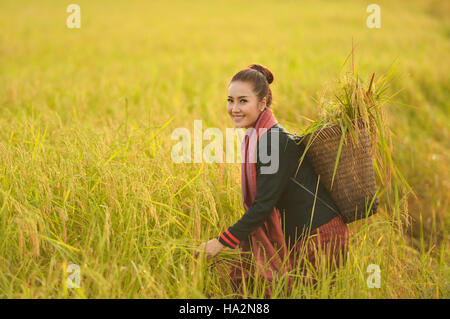 Portrait of a Woman harvesting crop, Thailand Stock Photo