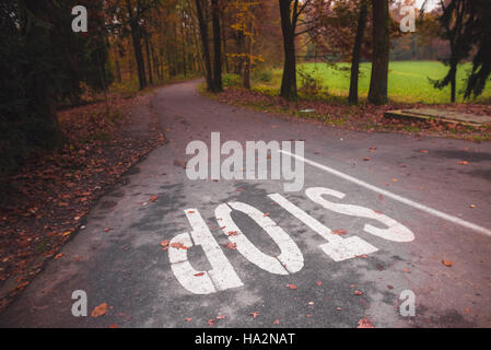 Stop sign painted on a road in a park at autumn Stock Photo