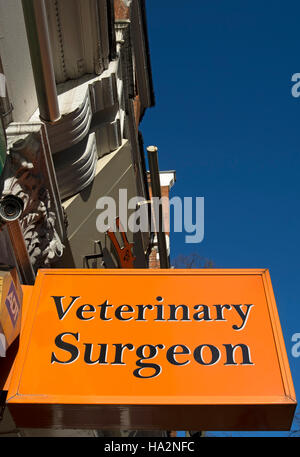 hanging sign for a veterinary surgeon, hampstead, london, england Stock Photo