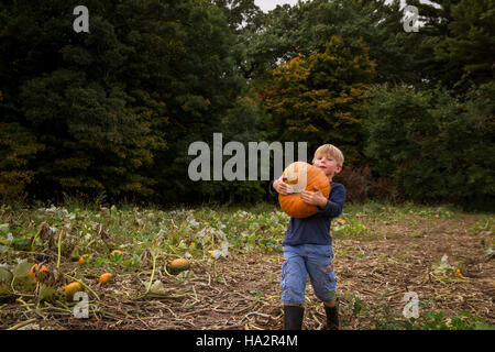 Boy carrying a pumpkin in a field Stock Photo