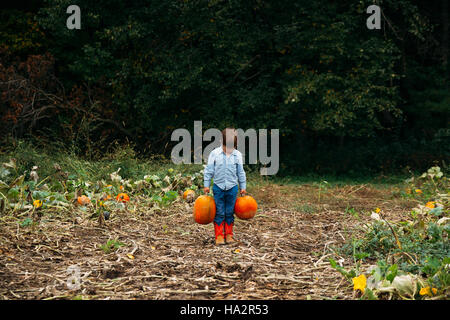 Boy carrying two pumpkins in field Stock Photo