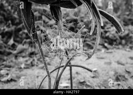 Autumnal frost covered cobweb on metal statue with fallen brown leaves on grass in background Stock Photo