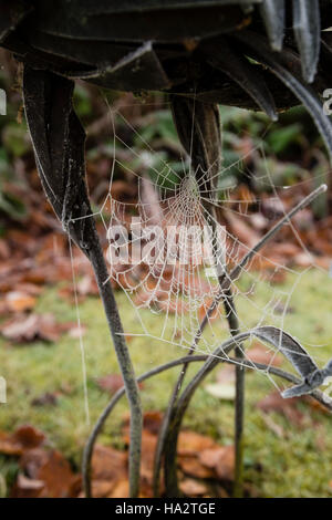Autumnal frost covered cobweb on metal statue with fallen brown leaves on grass in background Stock Photo