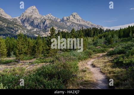 Mountain trail, Grand Teton National Park, Wyoming, United States Stock Photo
