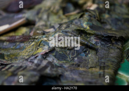 Wet, mouldy, rotting newspapers outside in a garden Stock Photo