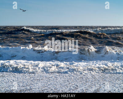 Churning waves breaking on the shoreline during heavy winds and spray with foam in the foreground blue sky and single seagull Stock Photo