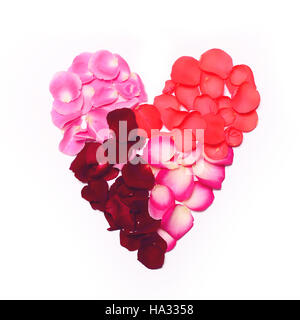 Flat lay - Heart made of rose petals on white background Stock Photo