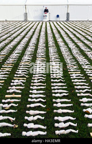 19240 Shrouds of the Somme exhibition, College Green, Bristol, Remembrance Sunday (13th November) 2016 Stock Photo